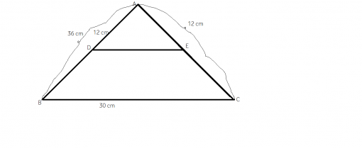 cum aplicam teorema fundamentala a asemanarii