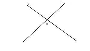 cum arata unghiurile opue la varf